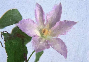 nolink,center