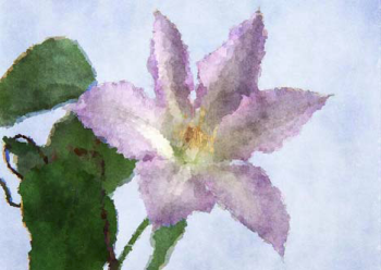 nolink,center