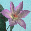 masuda-2009-03-national-n_0.png